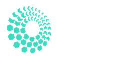ISEP logo